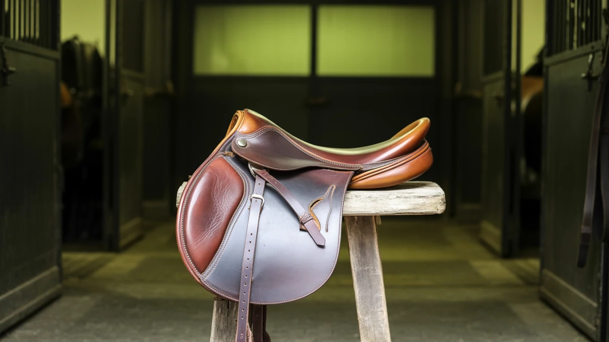 Illustration : Combien coûte l’équitation ? — image générée par IA